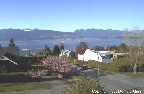 View of the North Shore