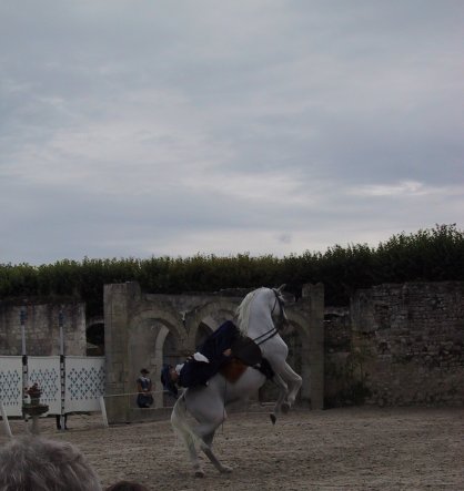 Horse Show At Chambord