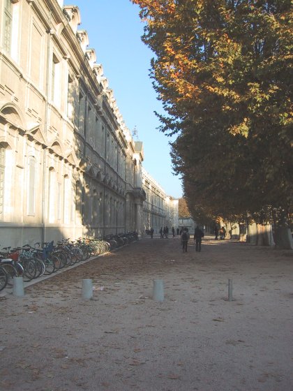 University du Avignon