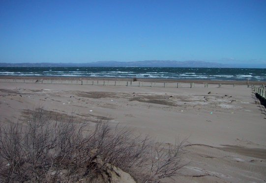 Gale Winds Blow Onshore