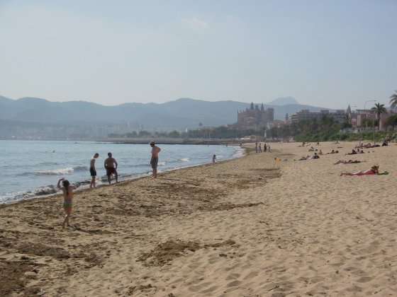 Palma Beach